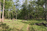 Автор: al27.07.2011 19:43:58