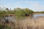 Вид на реку Ландех и церковь в селе Нижний ЛандехАвтор: al06.05.2012 13:08:40