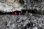Гриша и Вова в Кочкарских пещерахАвтор: Alexey Zlatov06.05.2013 13:43:54