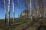 Автор: Alexey Zlatov08.05.2013 6:20:00