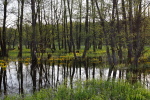 03.05.2008 20:21:48
