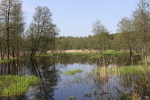 04.05.2008 11:05:09
