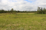 Автор: al05.08.2008 15:51:53