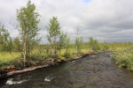 Автор: al05.08.2008 16:01:41